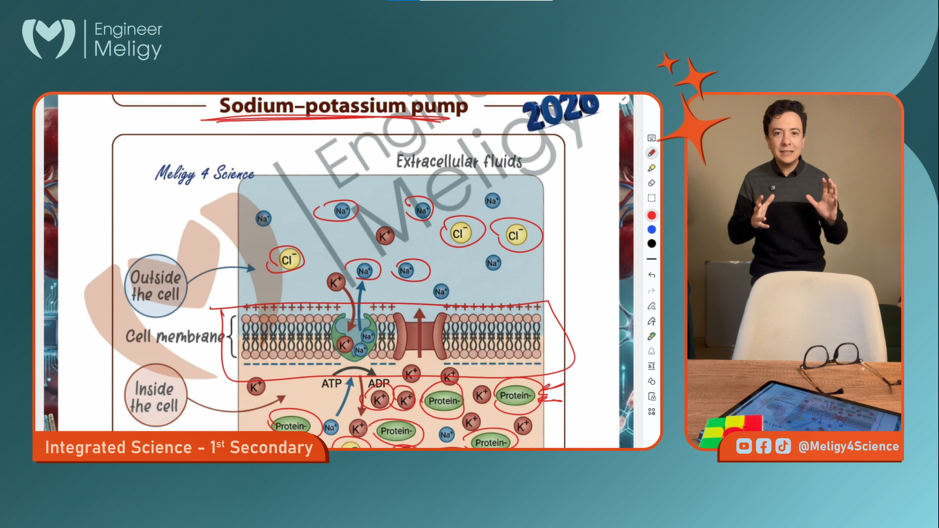 Session (07) – Integrated Science – Ch3.L4 (Sensation)